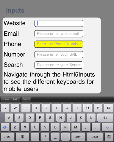 iPad URL Input